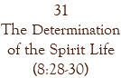 31 The Determination of the Spirit Life (8:28-30)