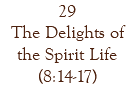 29 The Delights of the Spirit Life (8:14-17)