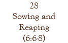28 Sowing and Reaping (6:6-8)
