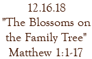 12.16.18 "The Blossoms on the Family Tree" Matthew 1:1-17
