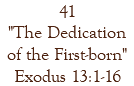 41 "The Dedication of the First-born" Exodus 13:1-16