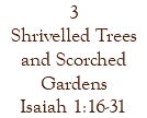 3 Shrivelled Trees and Scorched Gardens Isaiah 1:16-31